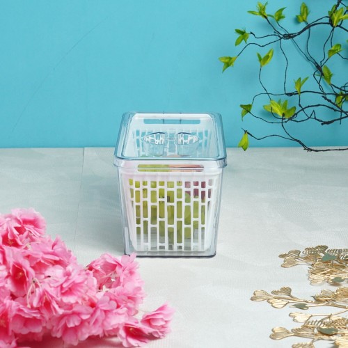 BORISH BEINZ MULTI STORAGE BBHW 8868 TS(25.5*14*13.5cm/3L) | 5 - Login Megastore