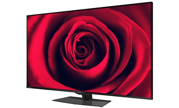 Sharp 8TC60DW1X Android TV 60 Inch 8K | 2 - Login Megastore